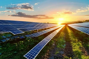 Les meilleures applications mobiles pour suivre sa production solaire